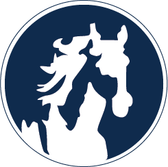 White Horse Auto Wash logo